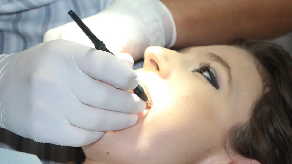 Фото: pxhere.com