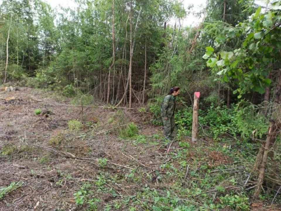 Фото: t.me/gkumol_zve