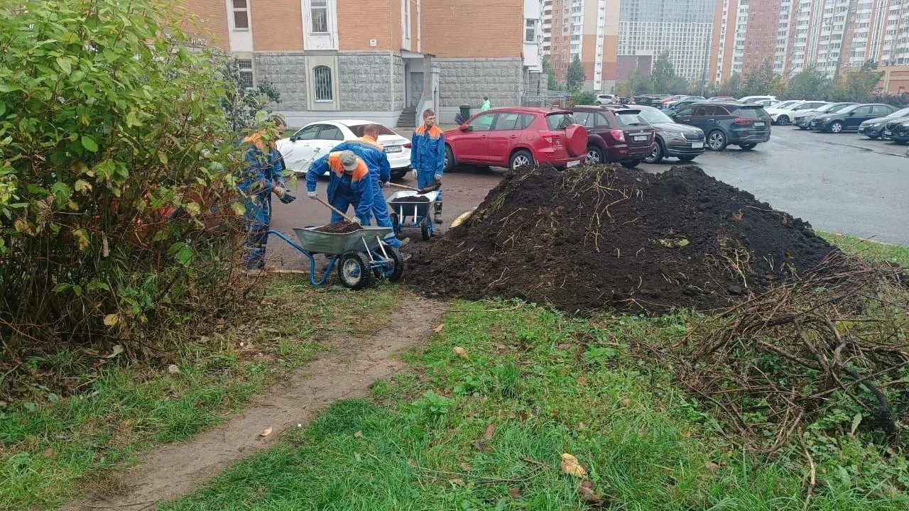 Фото: Мособлэнерго