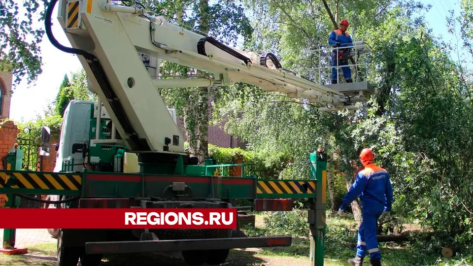 Фото: REGIONS/Василий Тремасов