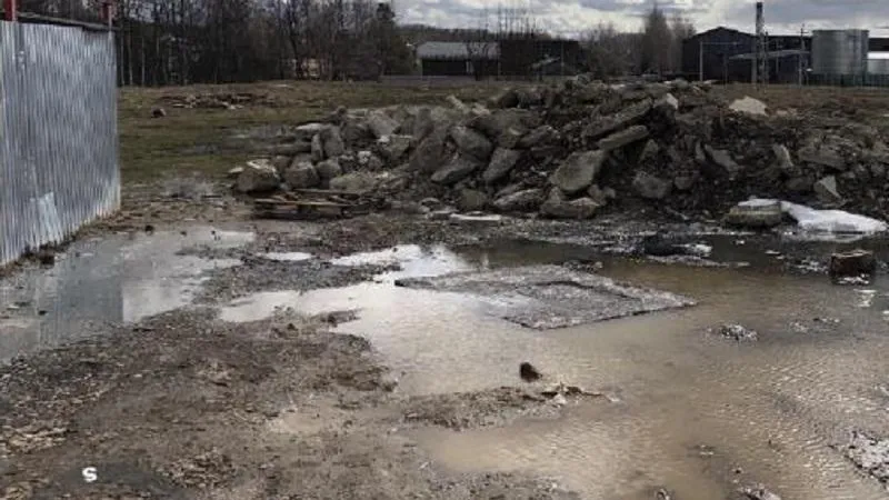 Фото: Минэкологии Московской области