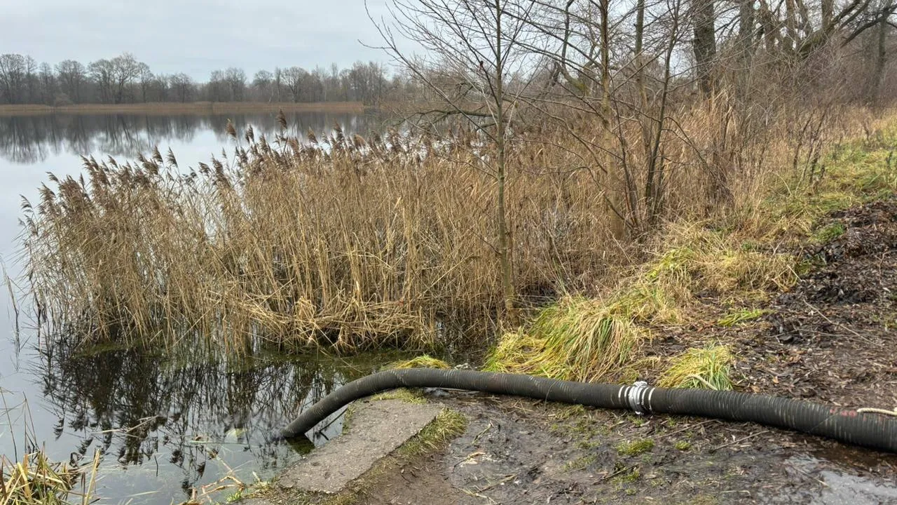 Фото: ГКУ МО «Мособлпожспас»