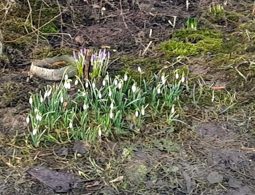 пресс-служба администрации г.о. Долгопрудный