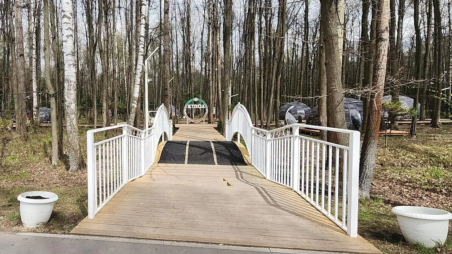 Фото: Нина Басистая