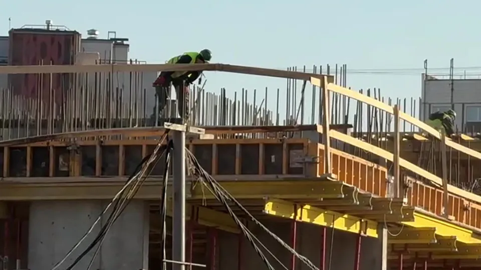 Фото: МедиаБанк Подмосковья/Ксения Казакова