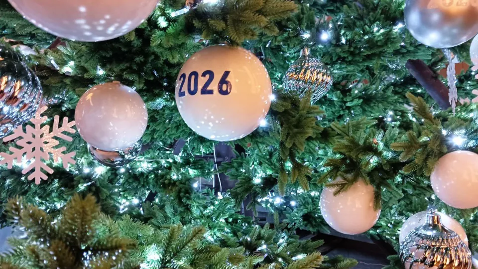 Фото: REGIONS/Наталья Пичугина