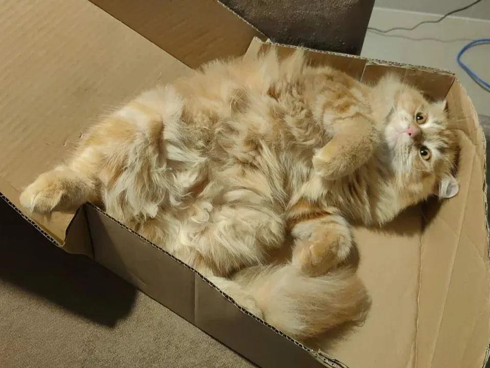 Фото: REGIONS/Наталия Надточая