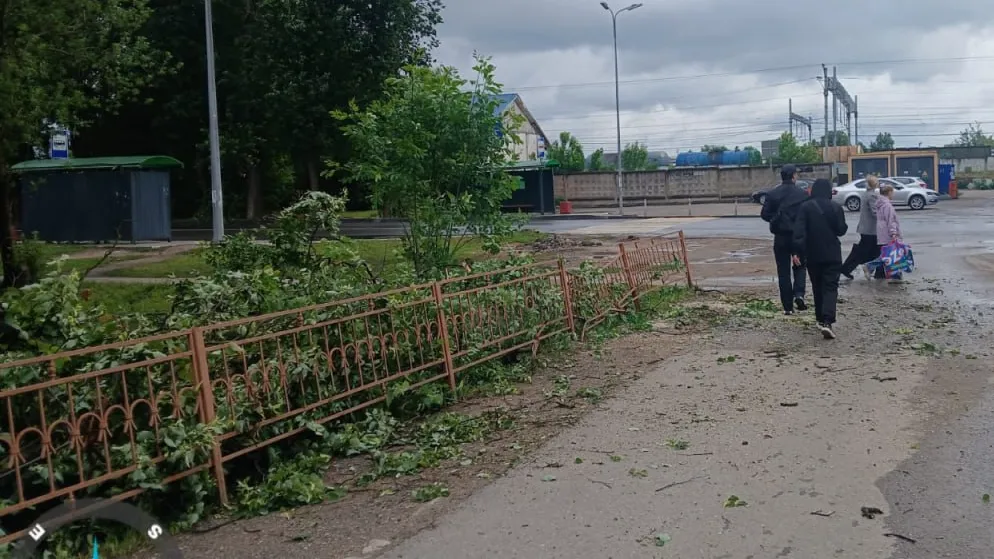 Фото: пресс-служба администрации Наро-Фоминского г.о.