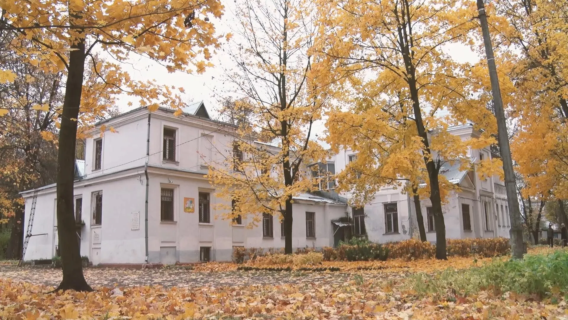 Евгений Аншин