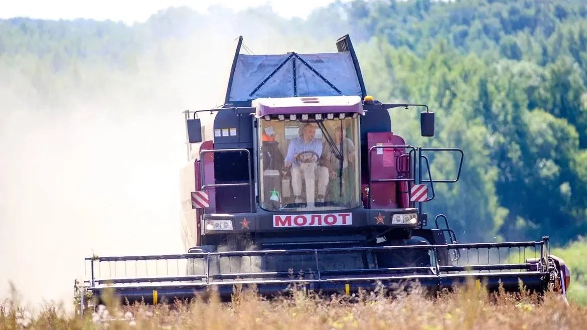 Фото: Виталий Ватулин