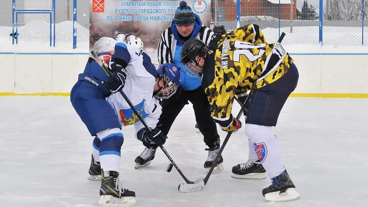 vk.com/alexander_gorbylev_ruza