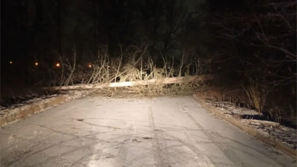 Фото: ГКУ МО «Мособлпожспас»