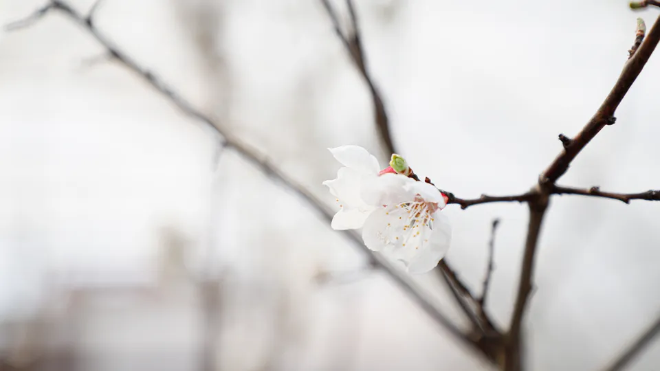 Фото: REGIONS/Наталия Надточая