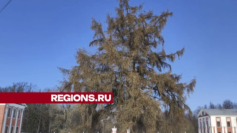 Фото: Владислав Мурашов