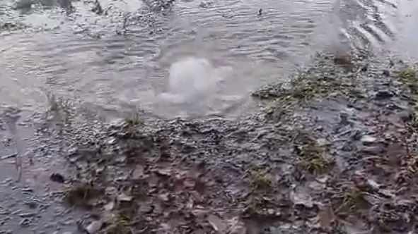 Фото: скриншот с видео в соцсети "Воскресенское время"