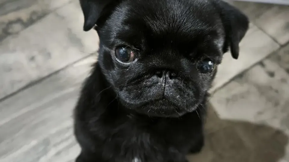 Фото: REGIONS/Роман Малышенко