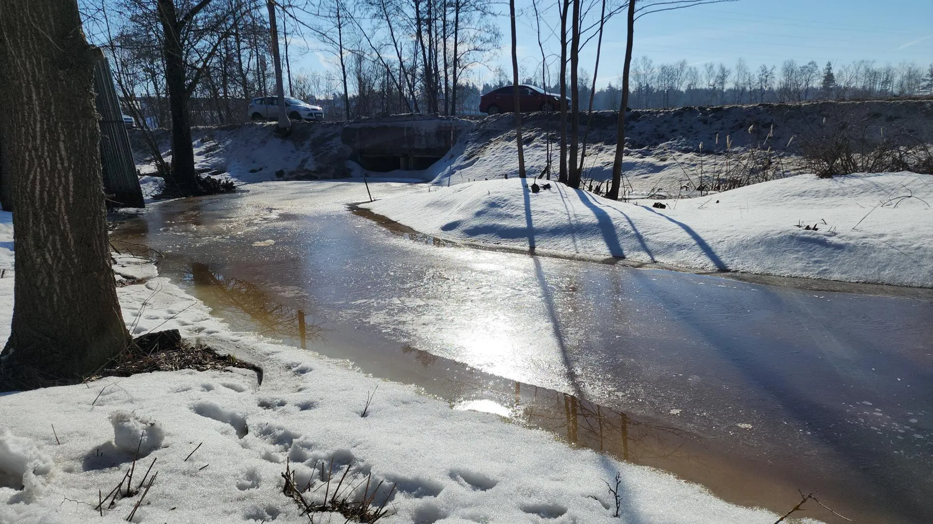 Фото: Нина Басистая