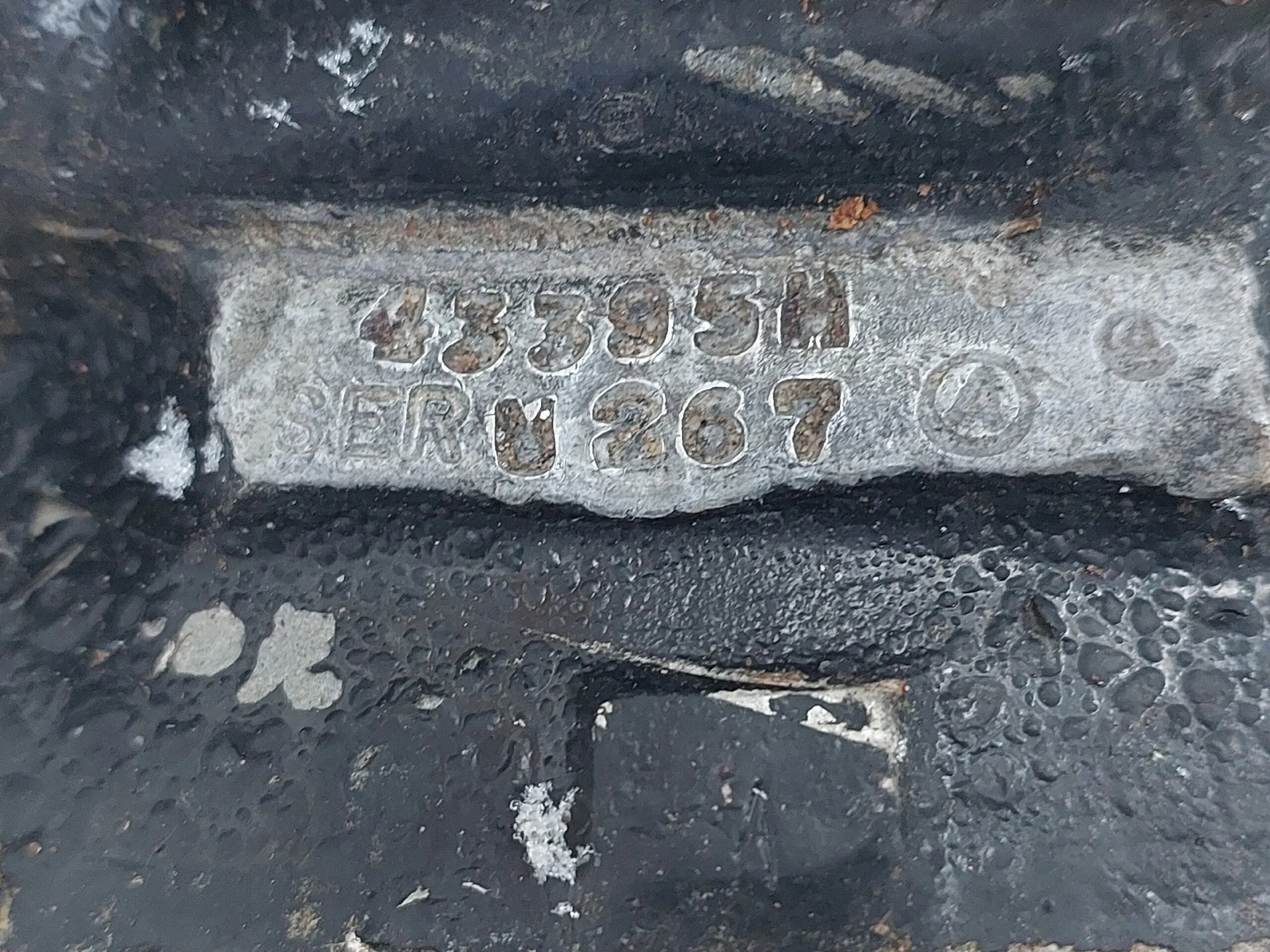 Фото: Поисковый отряд «БУМЕРАНГ - ДОСААФ» Наро-Фоминск&nbsp;