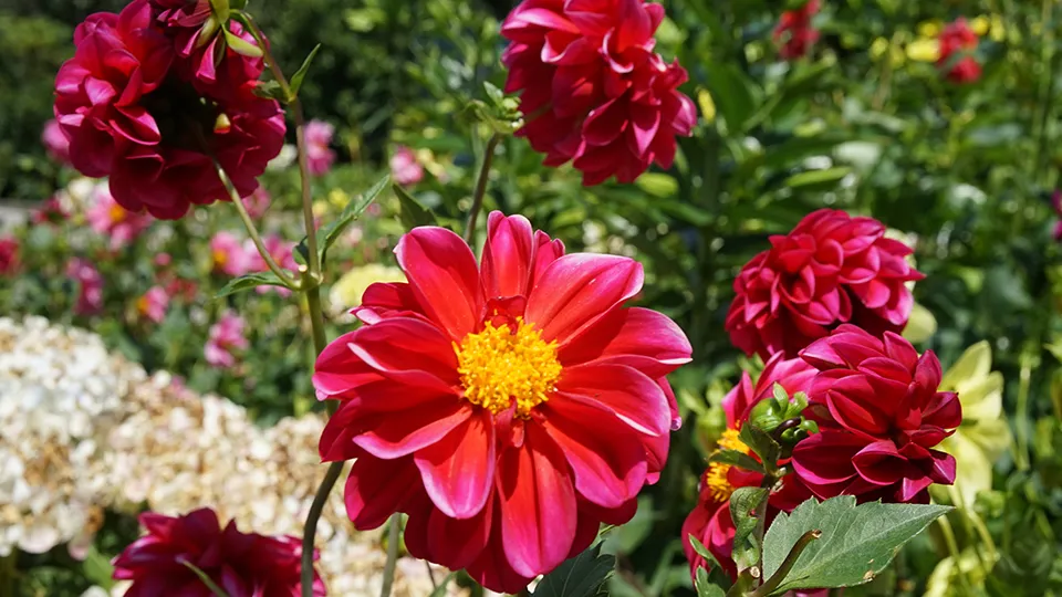 Фото: freepik.com