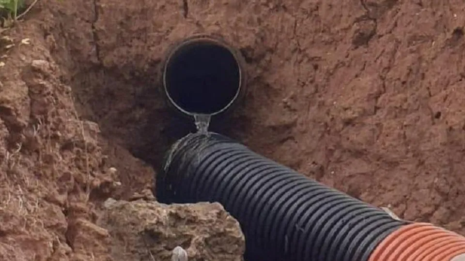 Фото: Минэкологии Московской области