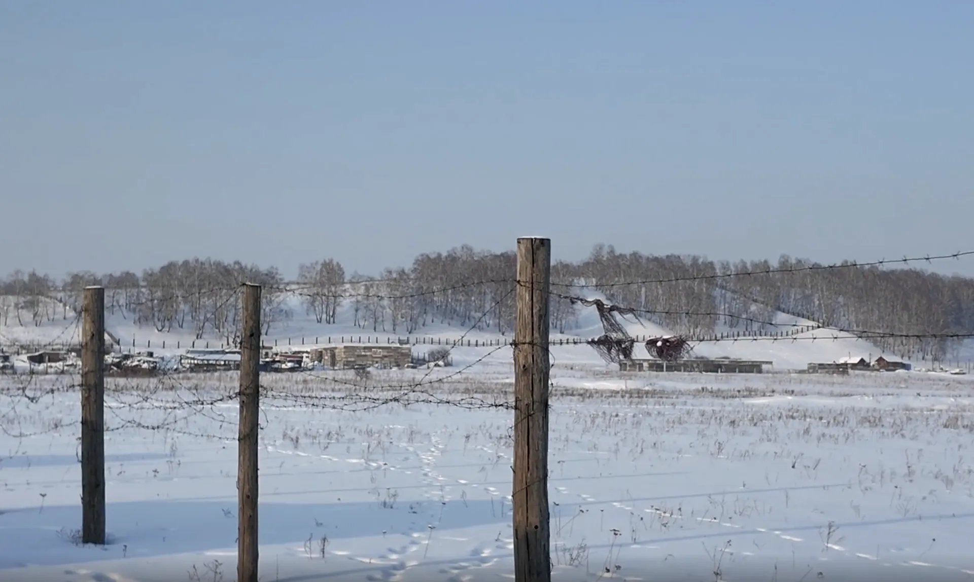 оделение Народного фронта Красноярского края