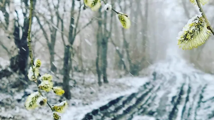 фото:.freepik.com