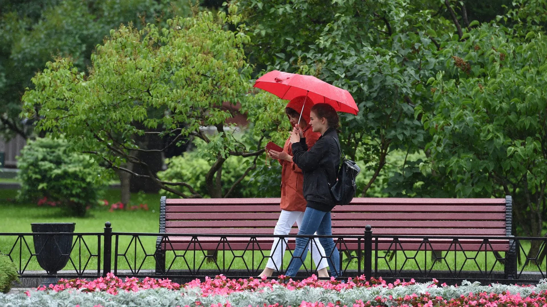 Фото: медиасток.рф