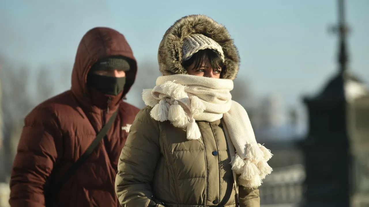 медиасток.рф