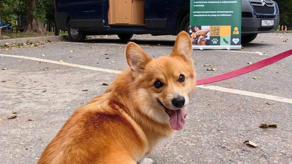 Администрация г. о. Клин