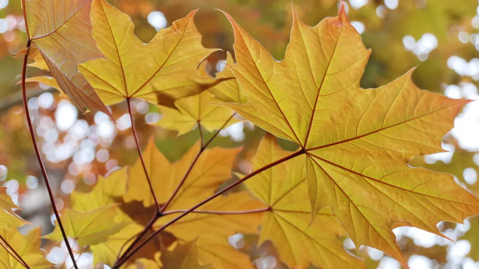 Фото: REGIONS/Александр Легкий