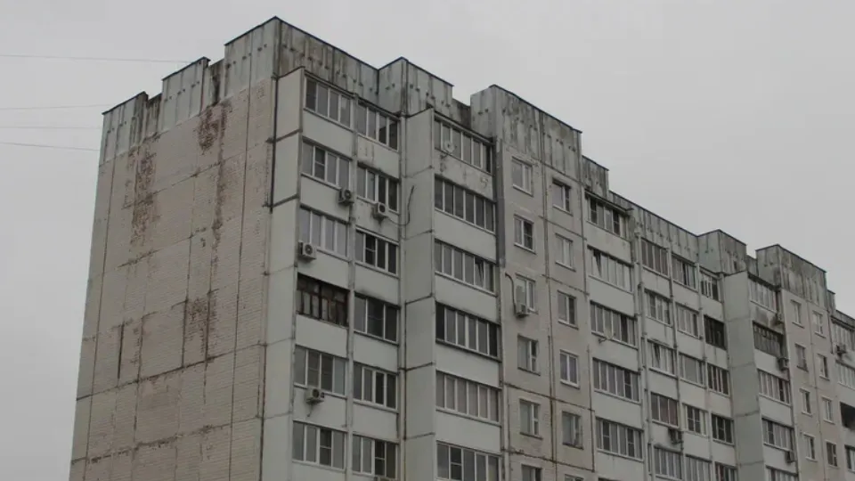 Фото: REGIONS/Василий Тремасов