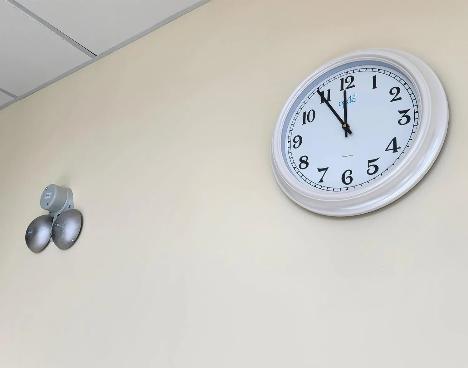 Фото: Станислав Орлов