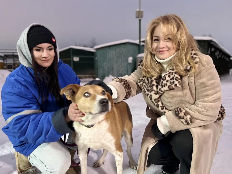 Фото: администрация городского округа Химки