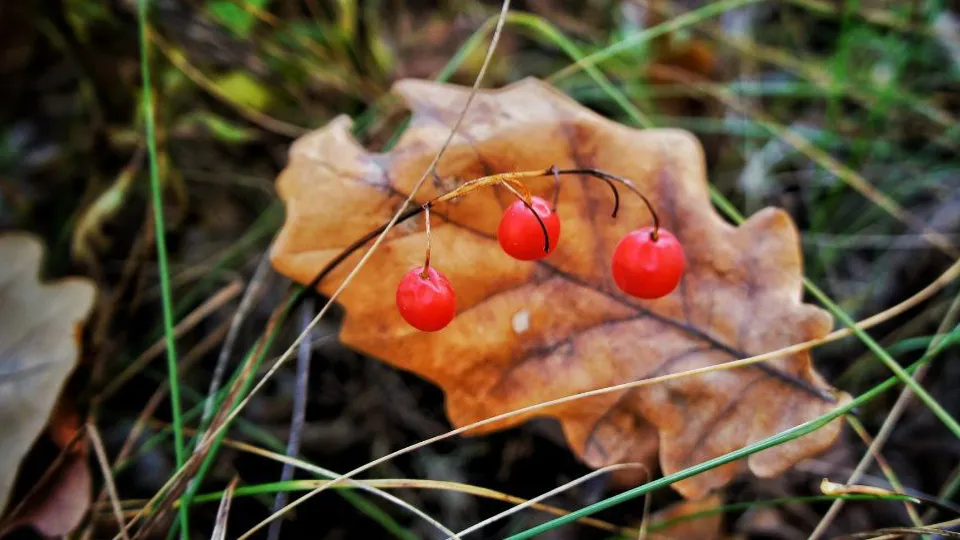 Фото: REGIONS/Эльвира Сафина