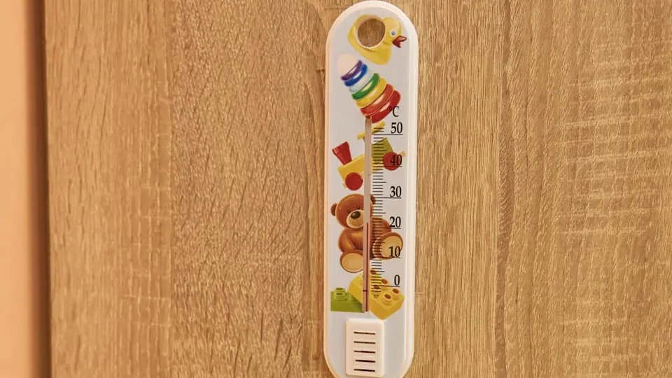 Фото: администрация г. о. Солнечногорск