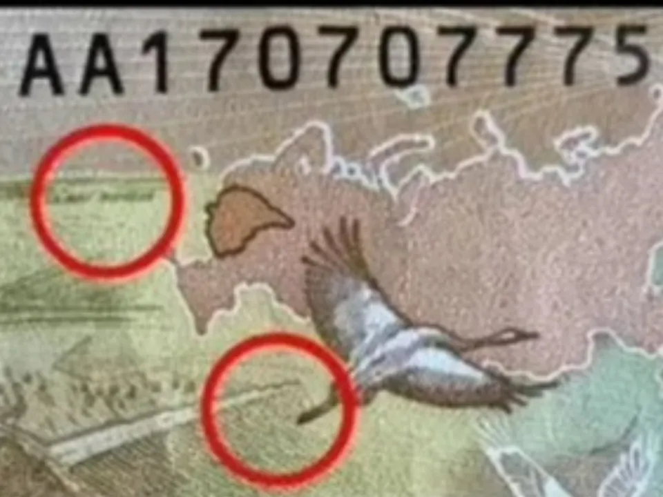 Фото: городская доска объявлений