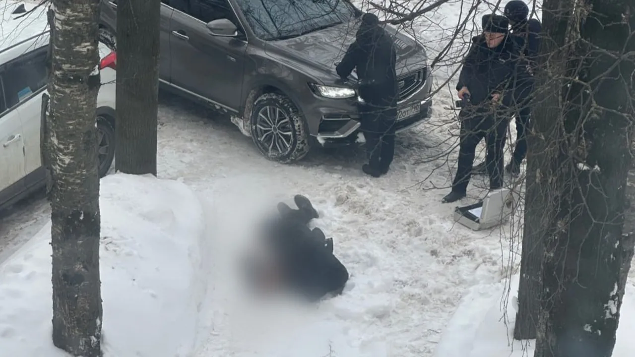 Фото: Фото очевидца