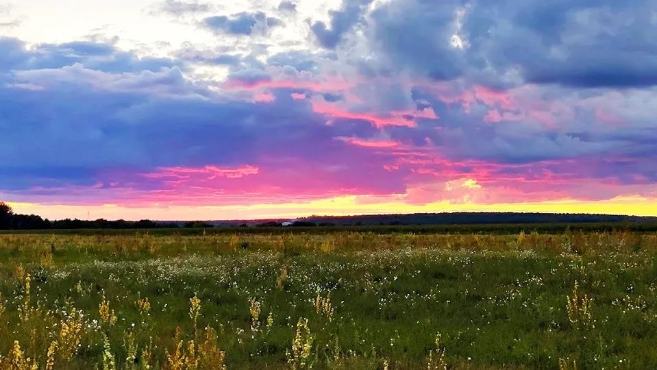 Фото: REGIONS/Алексей Селиверстов