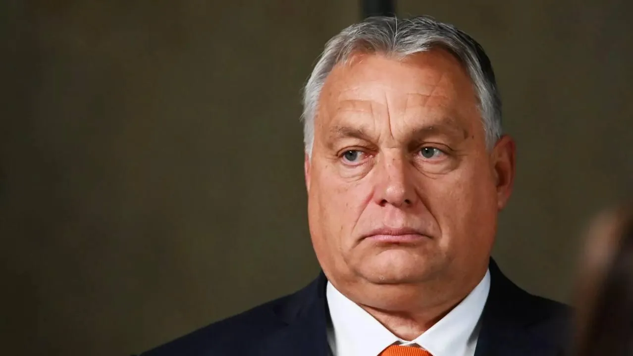 Блогер Васильев пояснил, почему венгерский лидер Виктор Орбан не является пророссийским