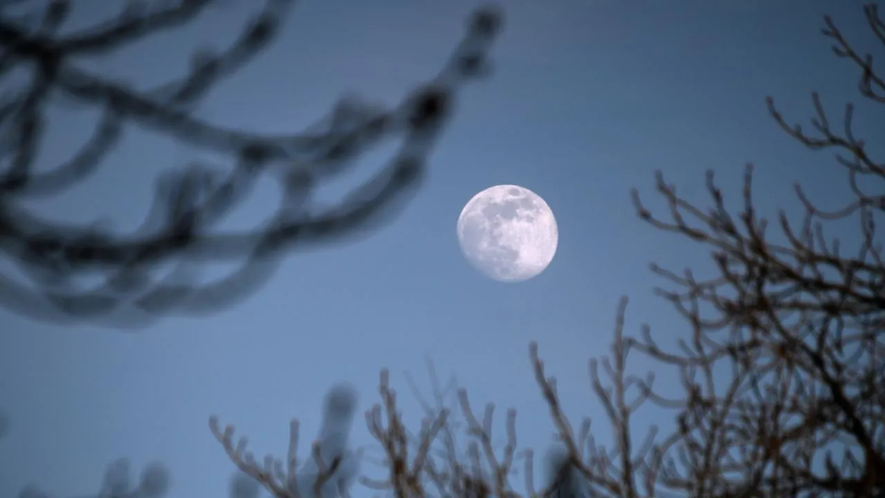 РИА Новости/Владимир Сергеев