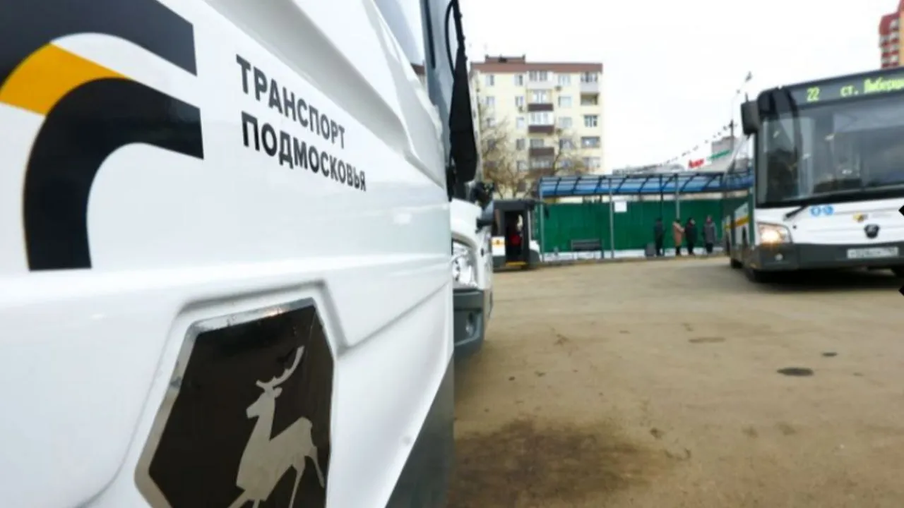 Фото: медиасток.рф