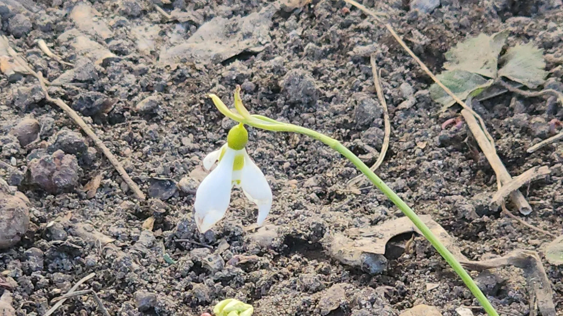 REGIONS/Роман Кутузов