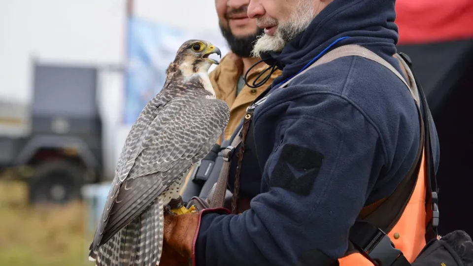 Фото: пресс-служба администрации Можайского муниципального округа