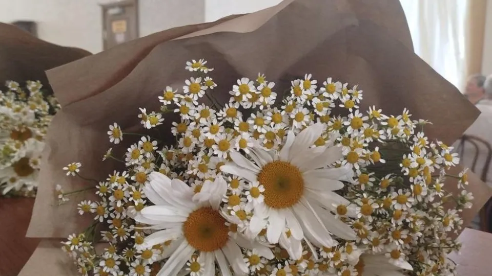 Фото: Министерство социального развития МО