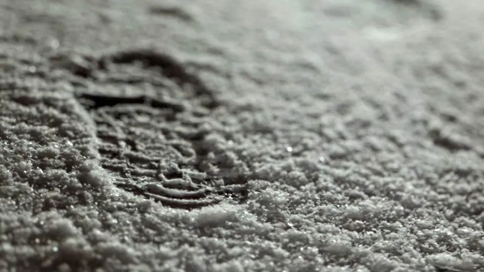 Фото: REGIONS/Владимир Ерастов