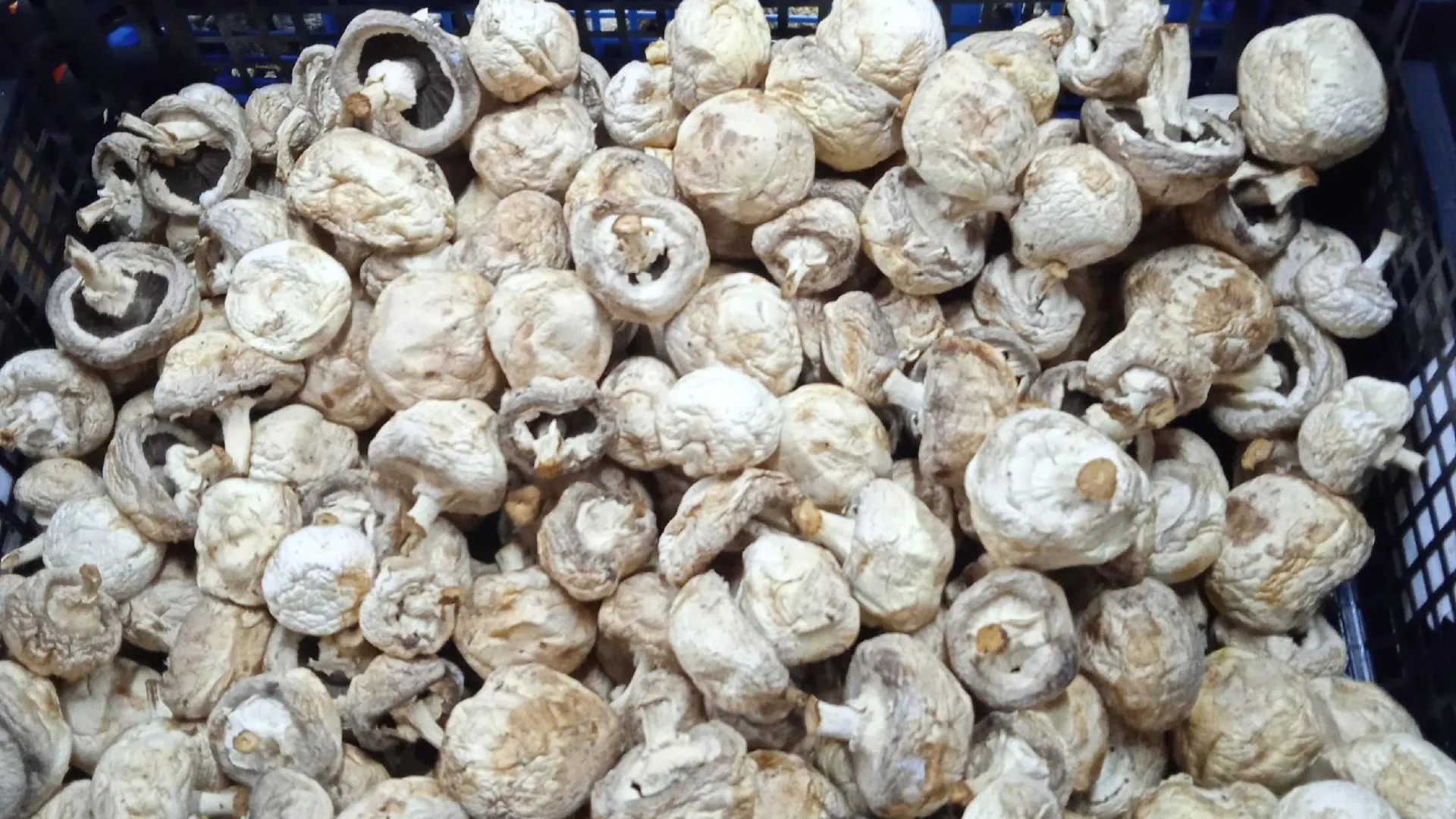 Фото: Подслушано | Истра / ВКонтакте