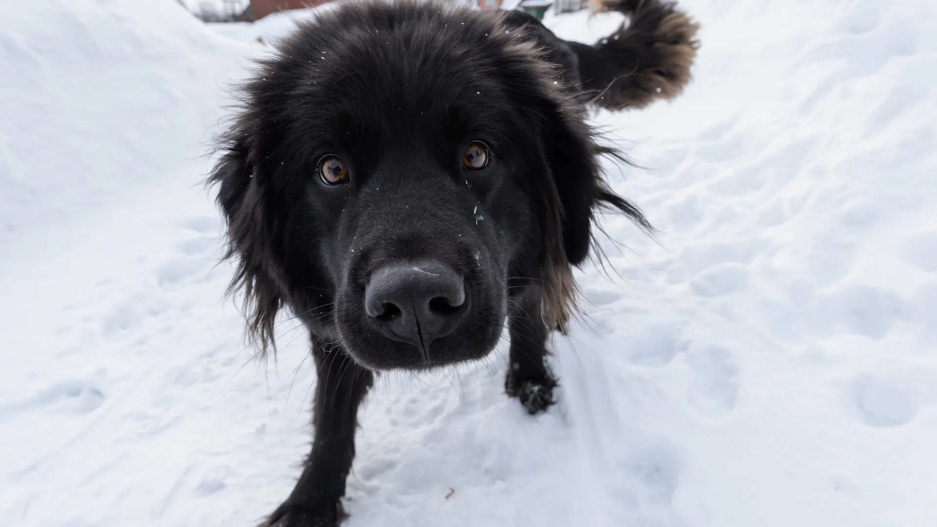 медиасток.рф