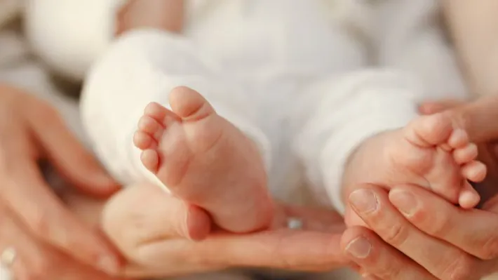 Фото: freepik.com