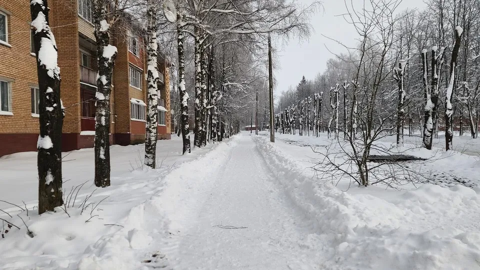 Фото: МедиаБанк Подмосковья/Валентина Максимова