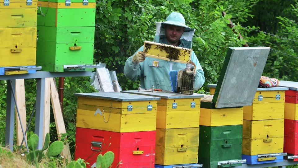 Фото: РИА Новости/Игорь Онучин